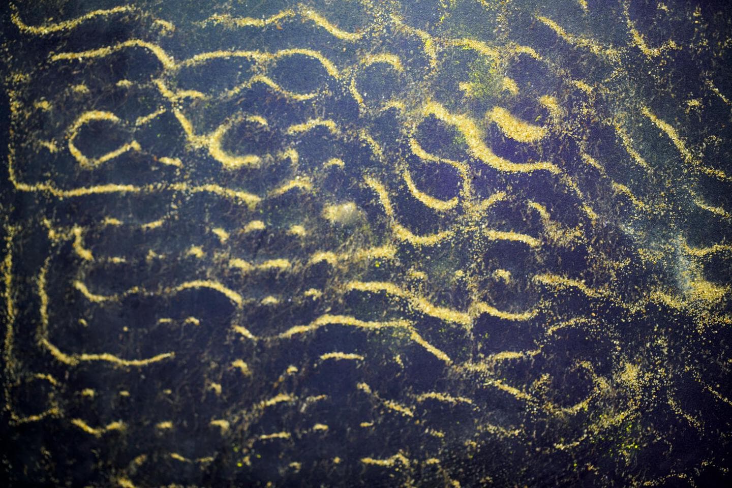 サイマティクス催眠療法